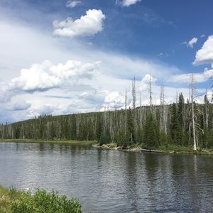 Meet your Posher, Frank